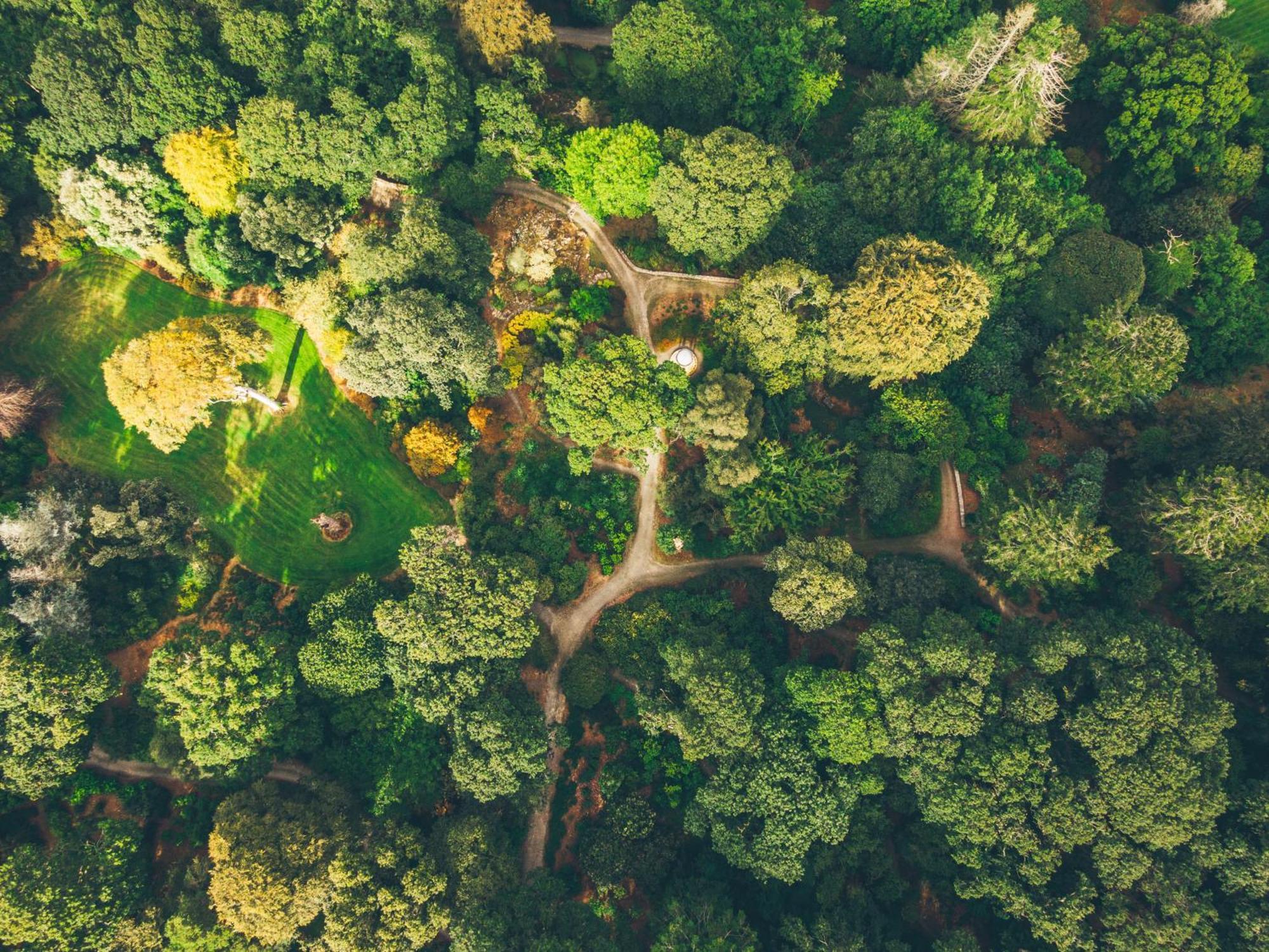 The Forest At Mount Congreve Gardens Kilmeaden エクステリア 写真