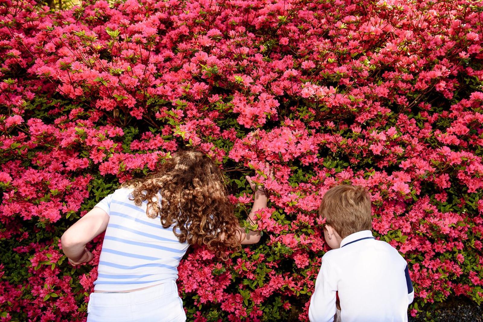 The Forest At Mount Congreve Gardens Kilmeaden エクステリア 写真